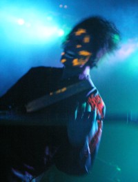 Monkeynut Photo